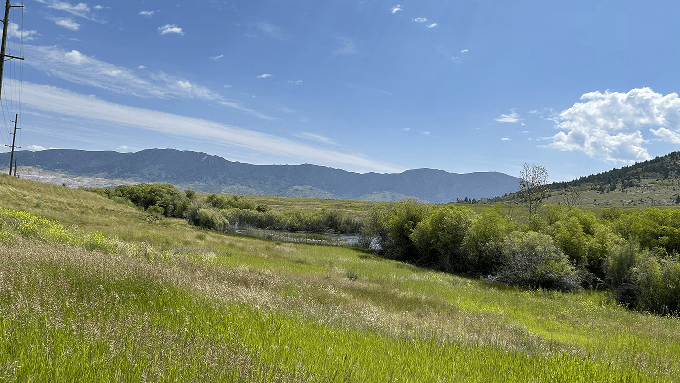 The reference site in Butte, MT