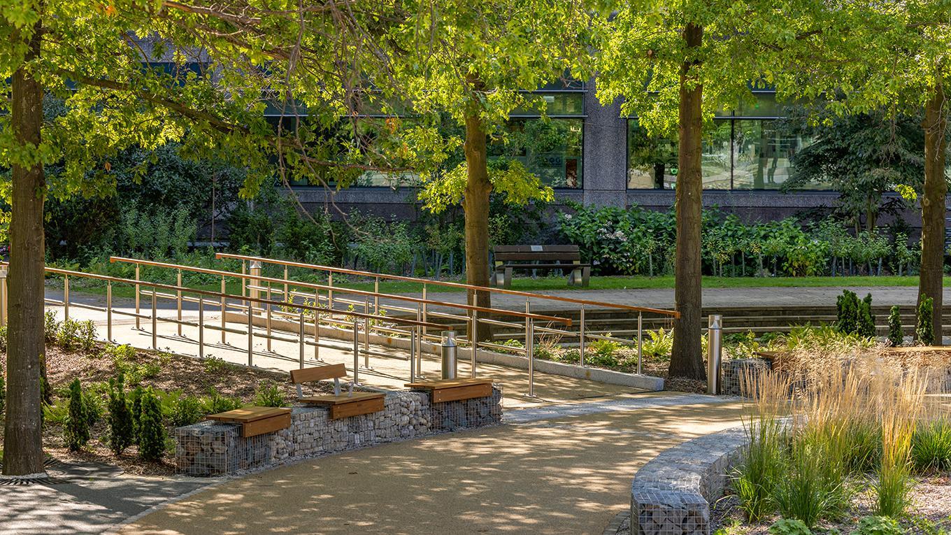 Courtyard and medicinal garden